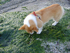 Resize of SANY1009_thumb.jpg